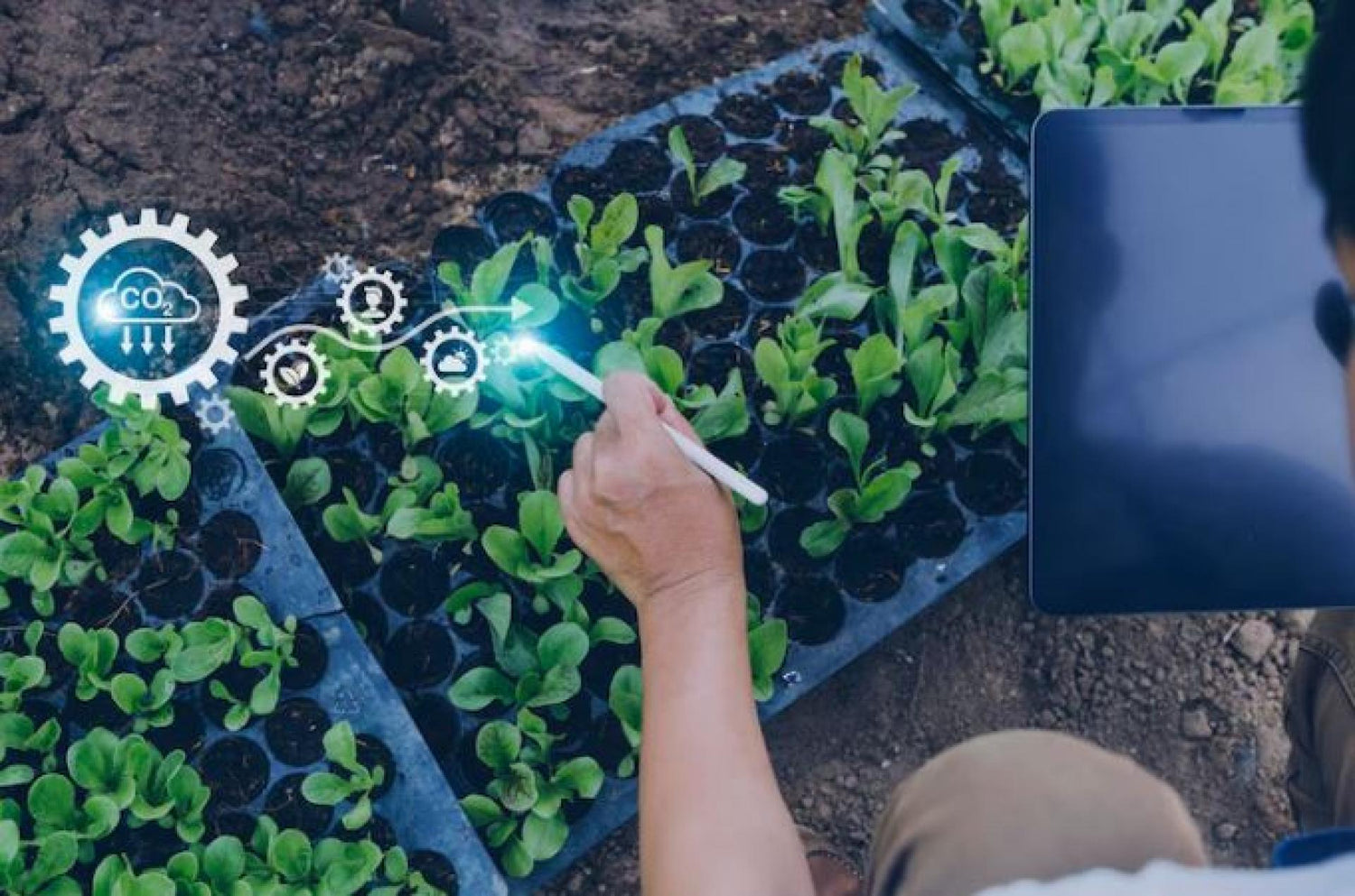 Agricultura 4.0, un paso más hacia la digitalización del sector agrícola