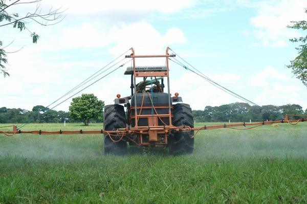 Agrotecnico