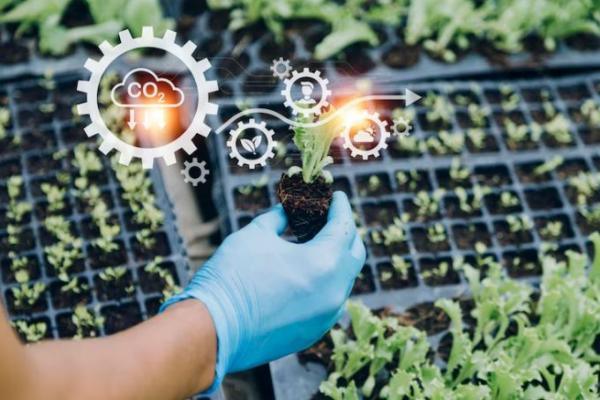 Agrotecnico
