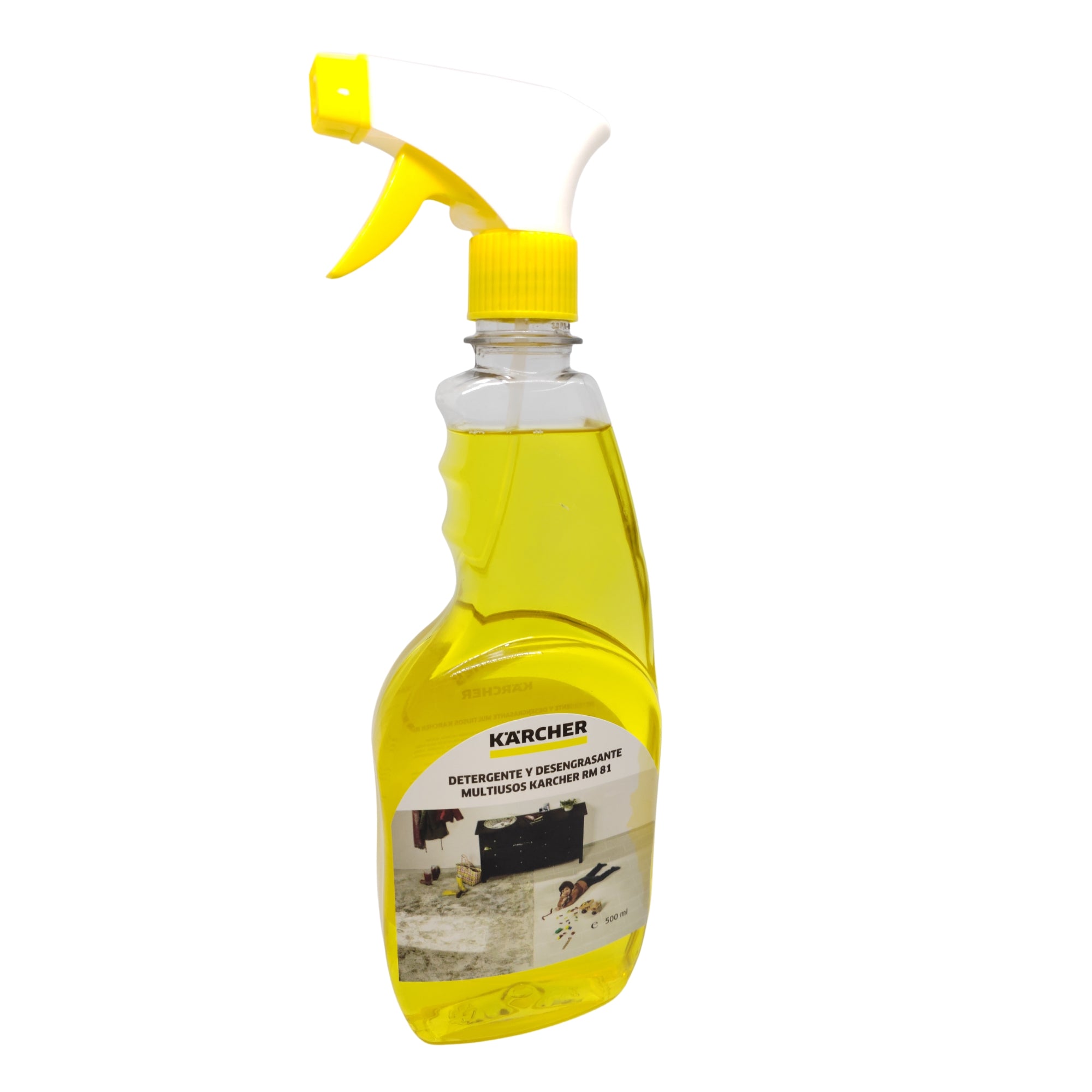 Detergente Kärcher RM 81 x 500ml