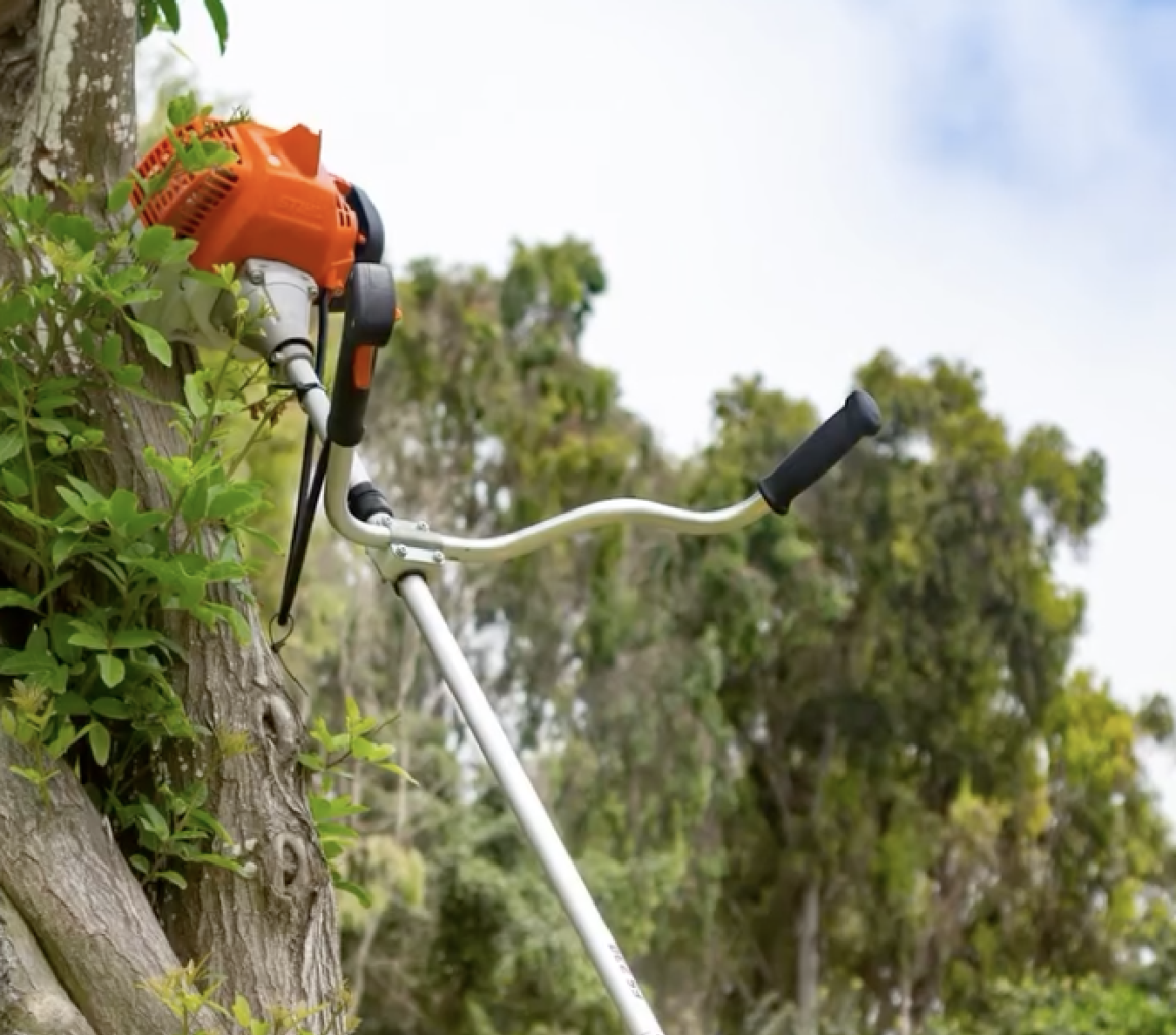 Guadaña FS 230 STIHL — imagen 2 de 3