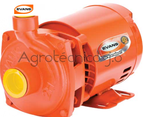 Motobomba Evans 4HME150